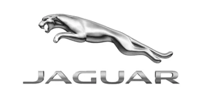 Jaguar logo in silver